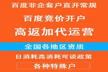 小红书信息流广告的投放技巧与策略，案例详解